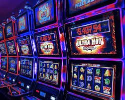3976 bet